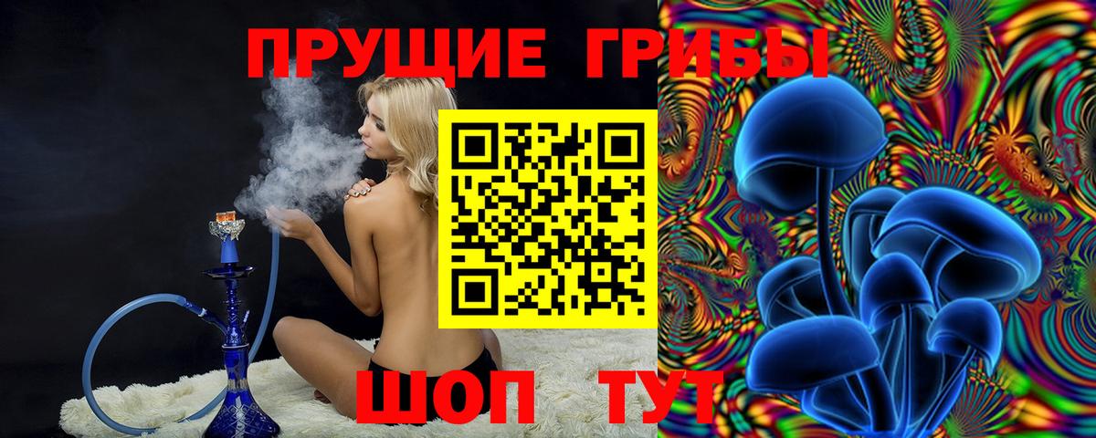 Галлюциногенные грибы GOLDEN TEACHER  Вход с VPN  Удомля 