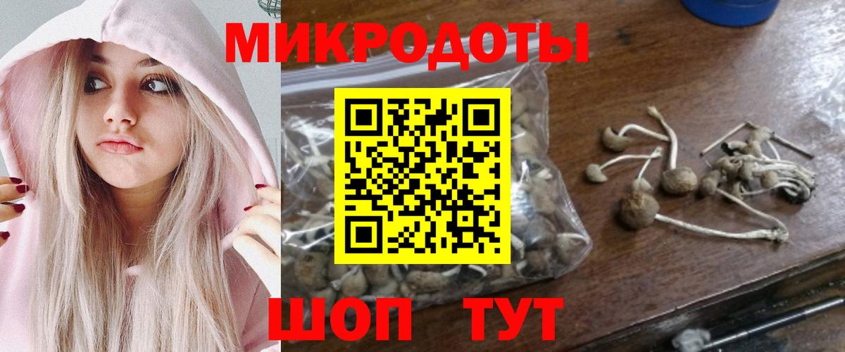 Псилоцибиновые грибы GOLDEN TEACHER Удомля